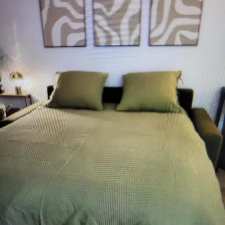 Tastefully Decorated House In
